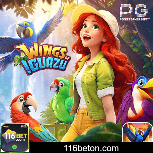 Imagem promocional do cadastro da 116BET